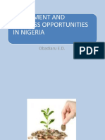Investment and Business Opportunities in Nigeria