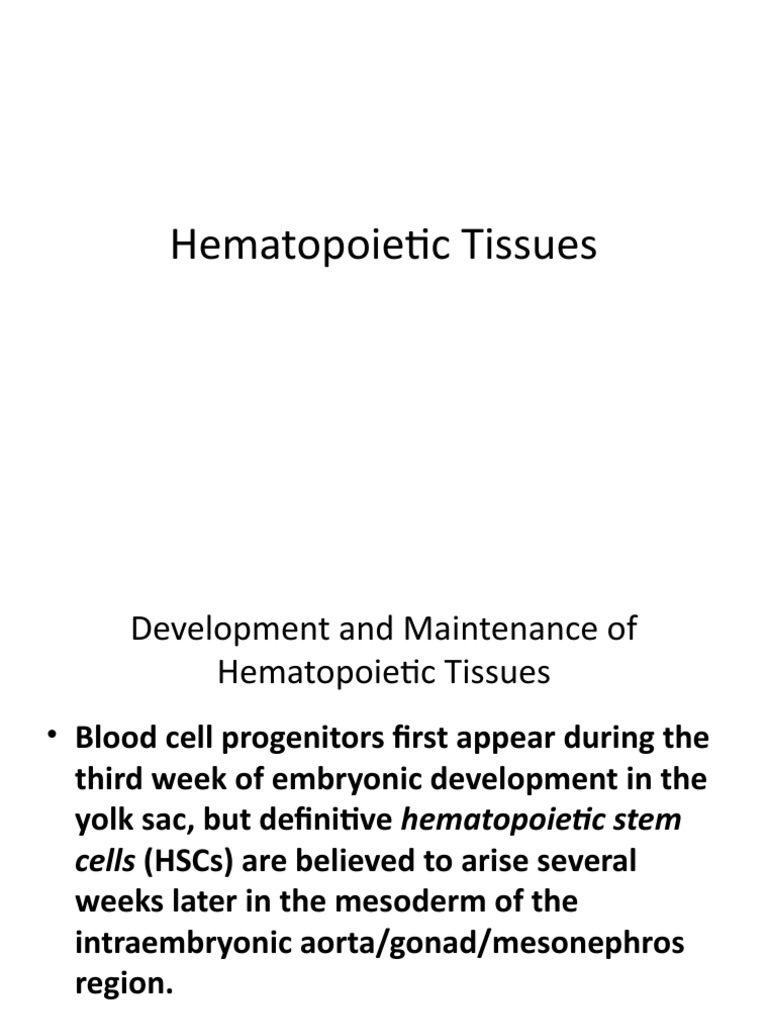 Hematopoietic Tissue Development Overview | PDF | Hematopoietic Stem ...