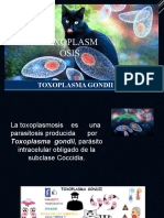 TOXOPLASMOSIS - Micro2.practica