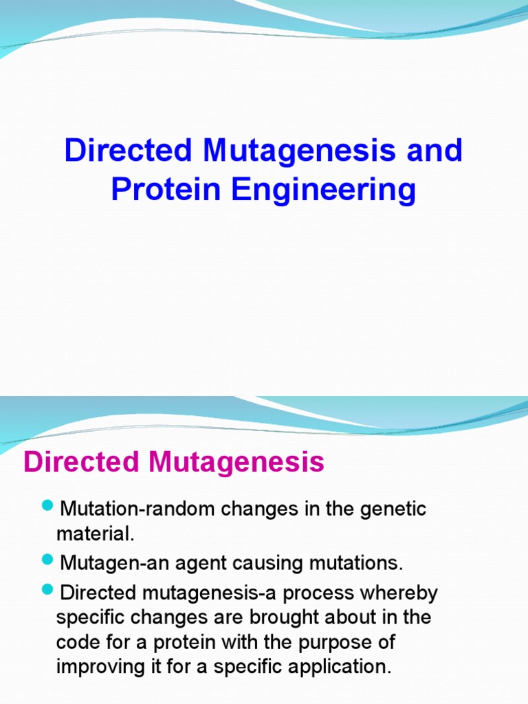 Directed Mutagenesis and Protein Engineering PDF Polymerase Chain