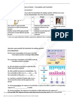 Kami Export From Gene To Protein 2021 PDF