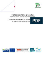 fiches_varietes_grenade_2019_v2