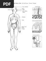 LIVRO DE NATUROLOGIA CIÊNCIA E VIDA - parte I