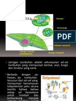 Jaringan Sistim Transportasi