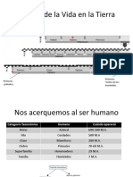 Historia de La Evolución Humana