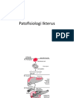 Patofisiologi Ikterus