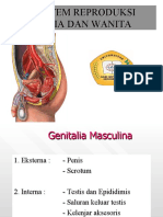 Pertemuan Vii Reproduksi Pria Dan Wanita