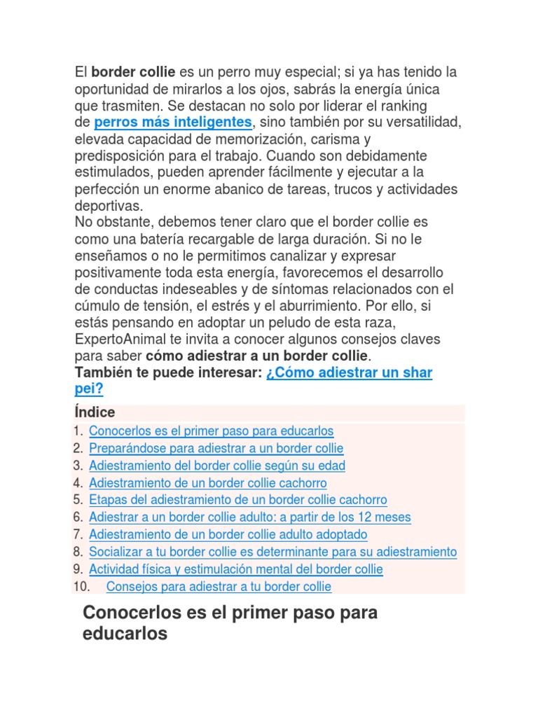Guía de Adiestramiento para Border Collie | PDF | Border Collie ...