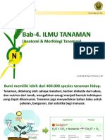 Bab-4. P.I.T. (Anatomi  Morfologi Tanaman)