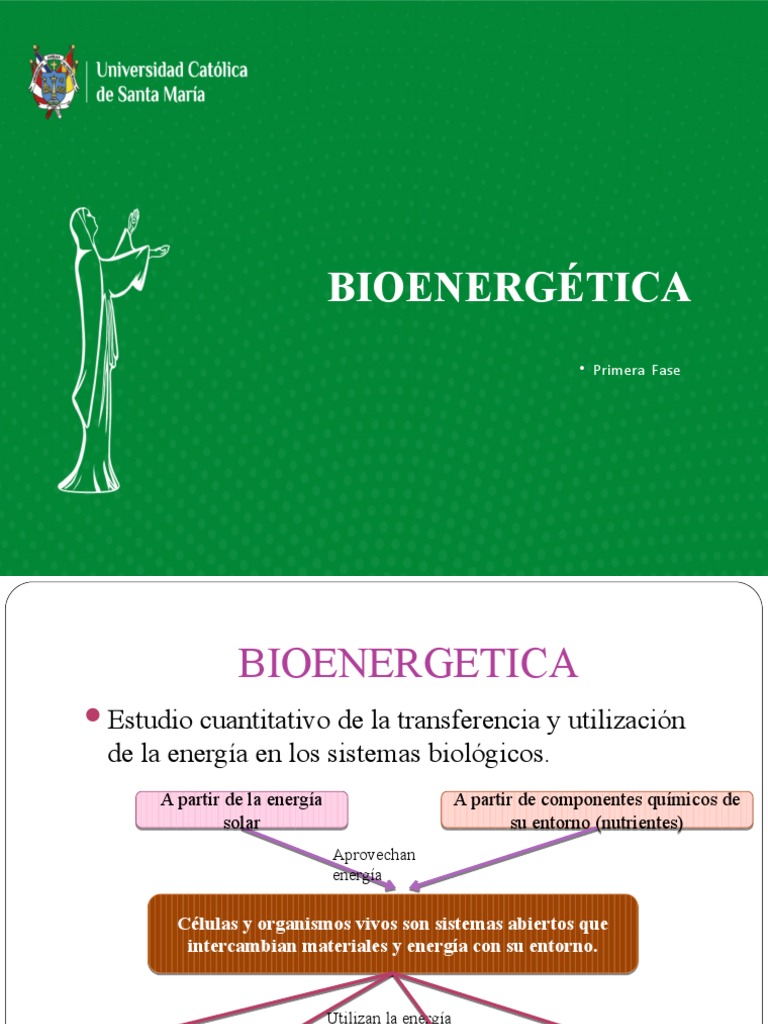 Bioenergetica y Oxidaciones Biologicas | PDF | Bioenergética | Redox
