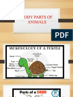 Body Parts of Animals