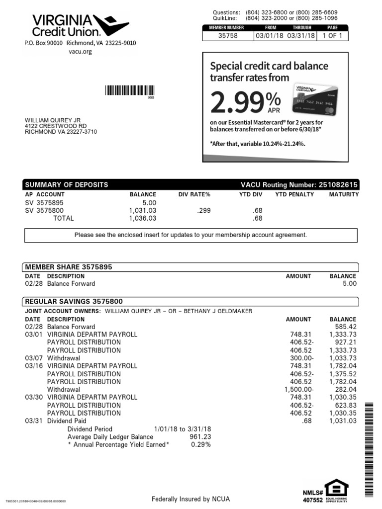 Virginia Credit Union Statement Summary | PDF | Government Finances ...