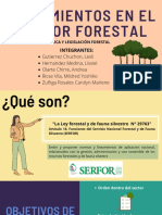 Lineamientos en El Sector Forestal