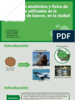 Descripción Anatómica y Física de Las Maderas Utilizadas en La Producción de Barcos, en La Ciudad de Marabá