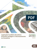 Legislacao Fundiaria Brasileira Incentiva Grilagem e Desmatamento Na Amazonia IMAZON