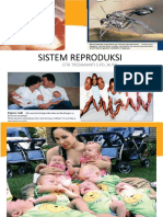 Sistem Reproduksi