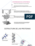 Estructura y Propiedades de Las Proteínas