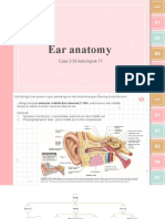 Ear Anatomy Case 3 SS