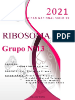 Ribosomas Grupo 13