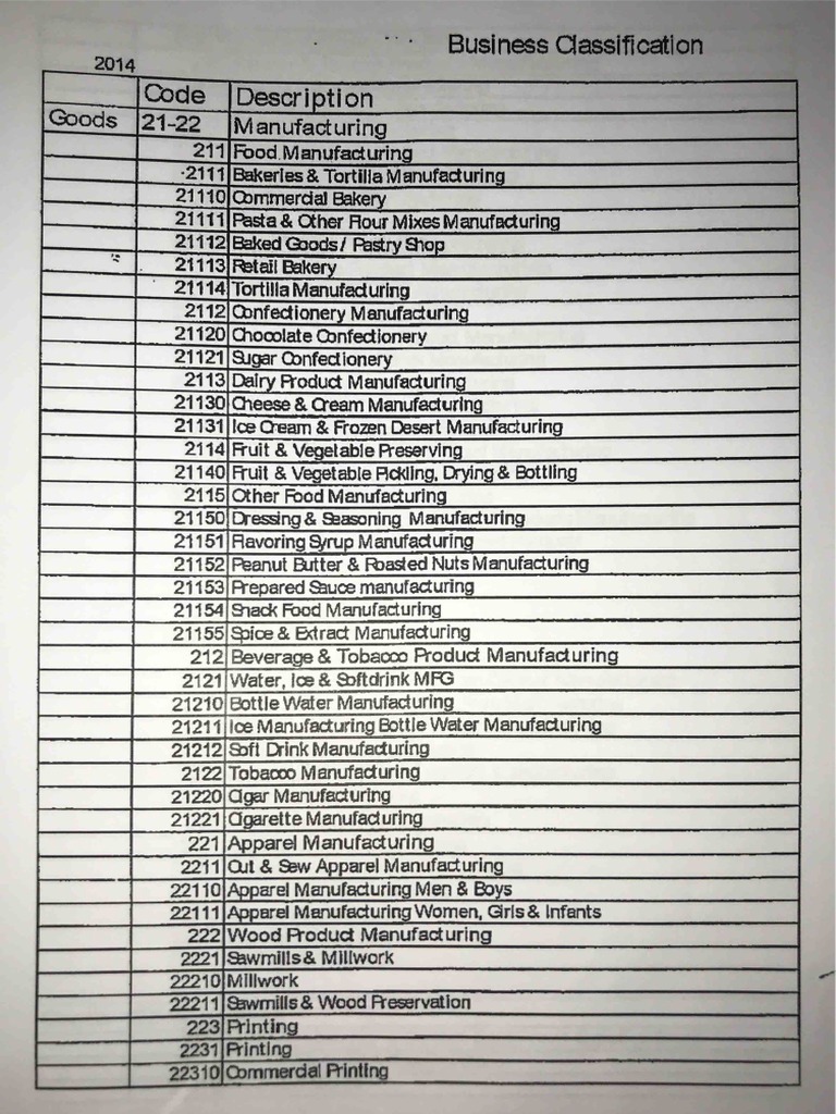 Business Classifications PDF