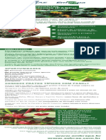 Catálogo Digital Embrapa Sebrae Plantas Alimentícias Não Convencionais (PANCs)