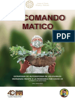 El Comando Matico