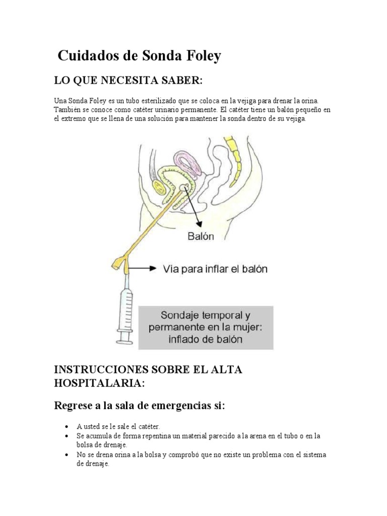 Cuidados Esenciales de Sonda Foley | PDF | Vejiga urinaria | Medicina