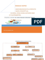 Mapa Conceptual