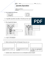 Estudo Do Meio-3º ano-Ficha-Aparelho Reprodutor