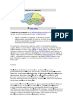 Síndrome de Gerstmann: agrafía, agnosia digital, acalculia y desorientación