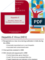 Hepatitis E Pittman Slides