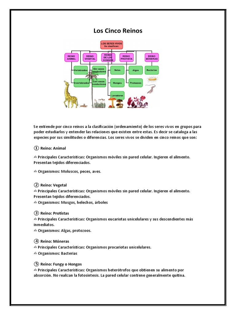 Clasificación de los Cinco Reinos Biológicos | PDF