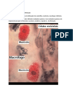 Trabalho de Paologia