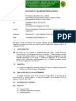 Modelo de Informe Técnico (1)