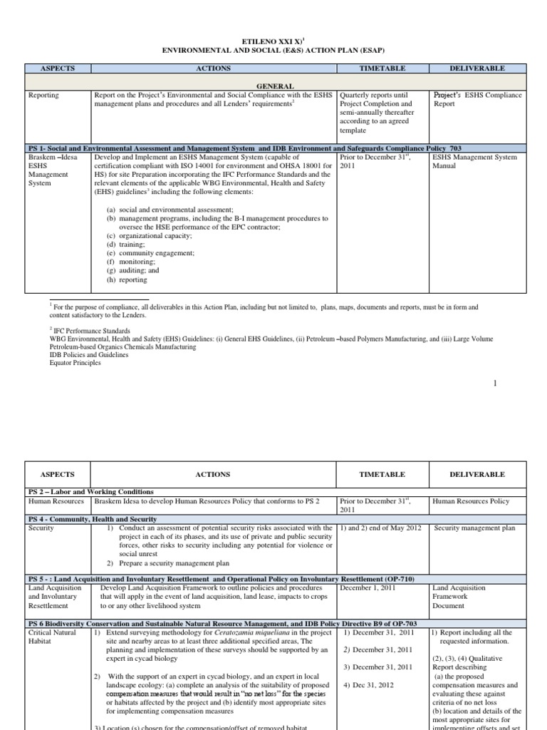 Environmental and Social Action Plan PDF Employment Occupational