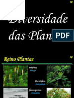 Cap 13 - Diversidade Das Plantas