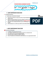 Light Dependant Reaction: Photosynthesis Summary Notes