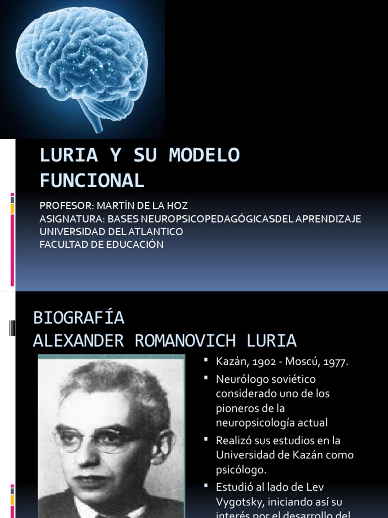 Luria y Sus Unidades Funcionales (Martín de La Hoz) | PDF | Cerebro ...