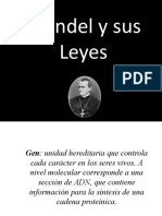 Mendel y Sus Leyes