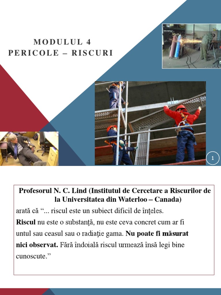 2pericole Si Riscuri | PDF