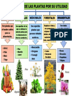 Clasificacion de Las Plan Tas