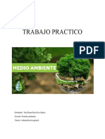 Trabajo Practico Medio Ambiente