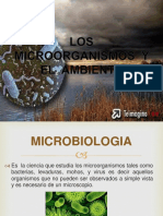 Los Microorganismos y El Ambiente