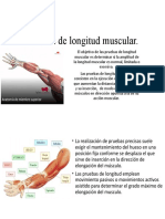 Pruebas longitud muscular determinar rango movilidad