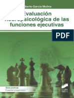 941099807_García Molina. Evaluación Neuropsicológica de Las Funciones Ejecutivas