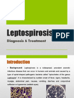 Leptospirosis: Diagnosis & Treatment