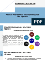 1 - Projeto Profissional - Relatório Técnico
