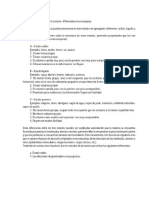 Fisica y Quimica-Estados de Agregacion