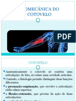 Biomecânica do cotovelo: estrutura, movimentos e músculos