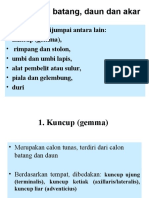 Modifikasi Batang, Akar Dan Daun